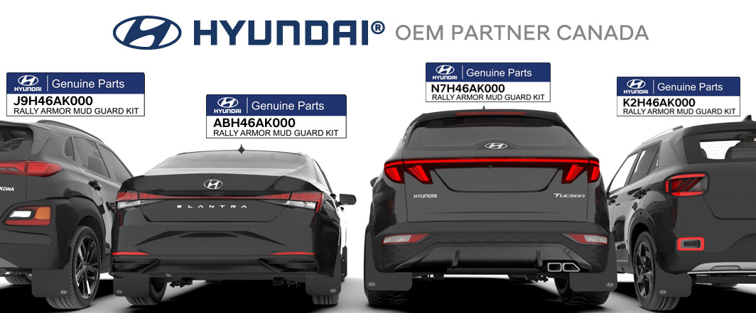 OEM Partner Hyundai