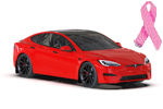 2021-25 Tesla Model S & S Plaid BCE Logo